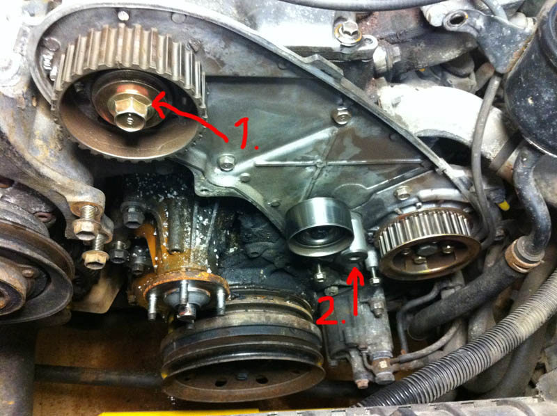 timing_gear_2.jpg